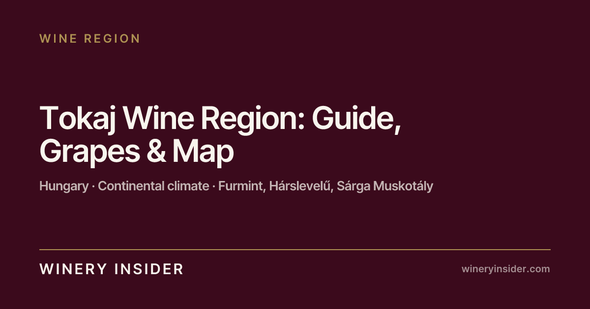 Tokaj Wine Region: Guide, Grapes & Map | Winery Insider | Winery Insider